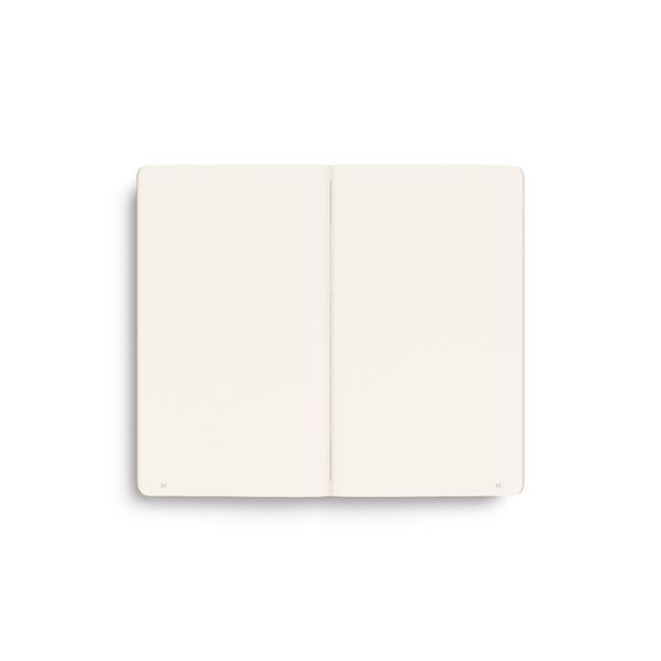 БлокнотиБлокнот Leuchtturm1917, Jottbook Pur, Pocket, Mint Green, 3 шт, чисті аркуші придбати